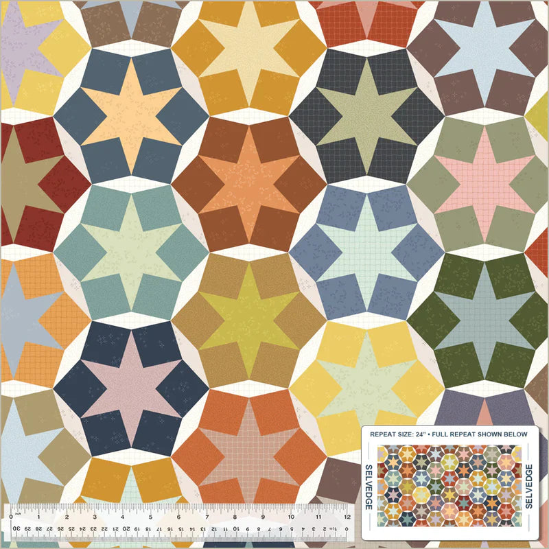 Nature Study 2.0 Stellar Whole Cloth Multi Whistler Studios Windham Fabrics Cotton Fabric WF-54690D-X