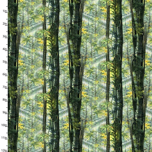 Nature Walk Sunlight the Forest Trees Abraham Hunter 3 Wishes Cotton Fabric