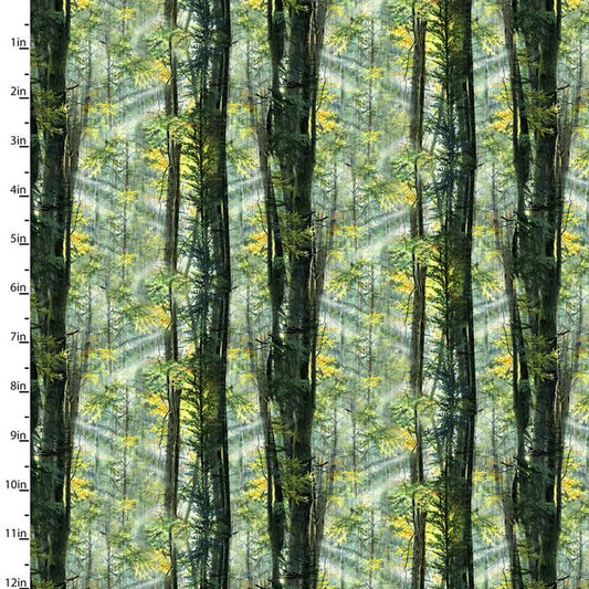 Nature Walk Sunlight the Forest Trees Abraham Hunter 3 Wishes Cotton Fabric