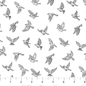 Nature's Sketchbook Birds Flight White Black Deborah Edwards Northcott Studio Cotton Fabric NC-28533-10