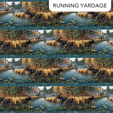 Autumn Woodland-Naturescapes Border Stripe Blue Multi James Meger Northcott Cotton Fabric NC-DP28411-48