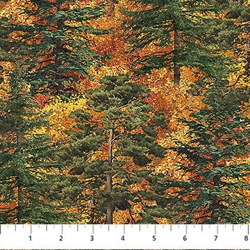 Autumn Woodland-Naturescapes Trees Rust Multi James Meger Northcott Cotton Fabric NC-DP28413-37