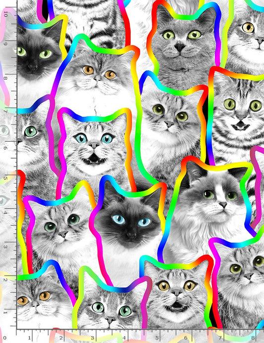 Neo Outline Black and White Cats Multi Timeless Treasures Cotton Fabric