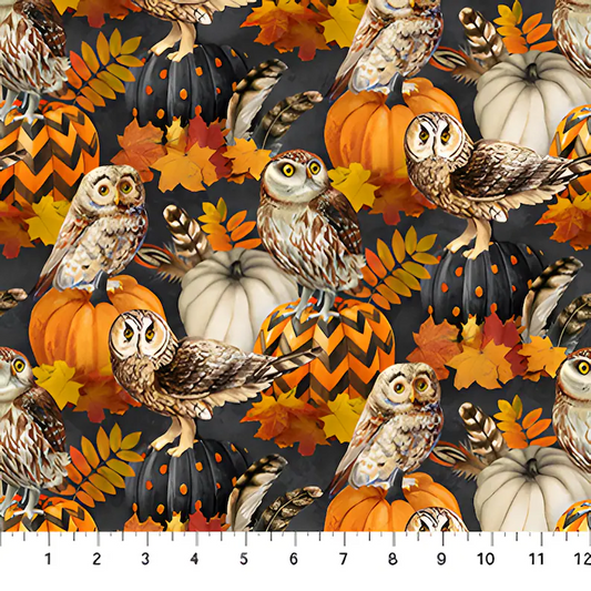 Night Owl Feathers and Owl Charcoal Multi Deborah Edwards Northcott Cotton Fabric NC-DP28846-96
