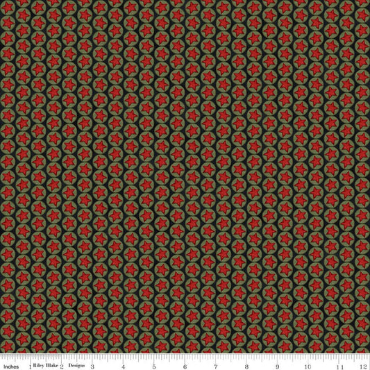 Northern Christmas Stars Black Teresa Kogut Riley Blake Designs Cotton Fabric RB-C17834-BLACK