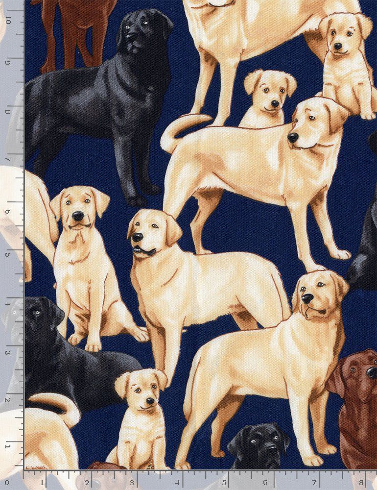 Labradors Dogs Puppies Navy Must Love Dogs George McCartney Timeless Treasures Cotton Fabric