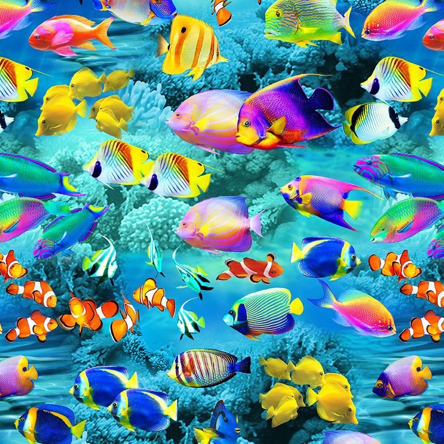 Ocean Life Deep Blue Sea Multi Michael Searle Timeless Treasures Cotton Fabric