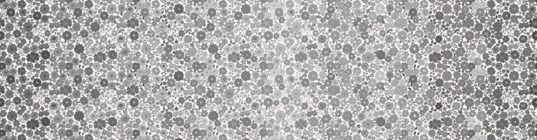 Omnificent Ombres Greyscale Boho Blooms Ombre Lewis and Irene Cotton Fabric LI-OM3C