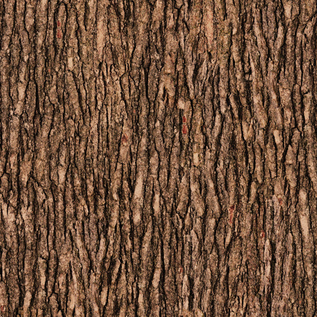 Open Air Tree Bark Brown Quilting Treasures Cotton Fabric