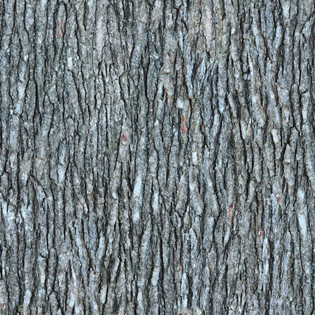 Open Air Tree Bark Gray Quilting Treasures Cotton Fabric | US Fabric Shop