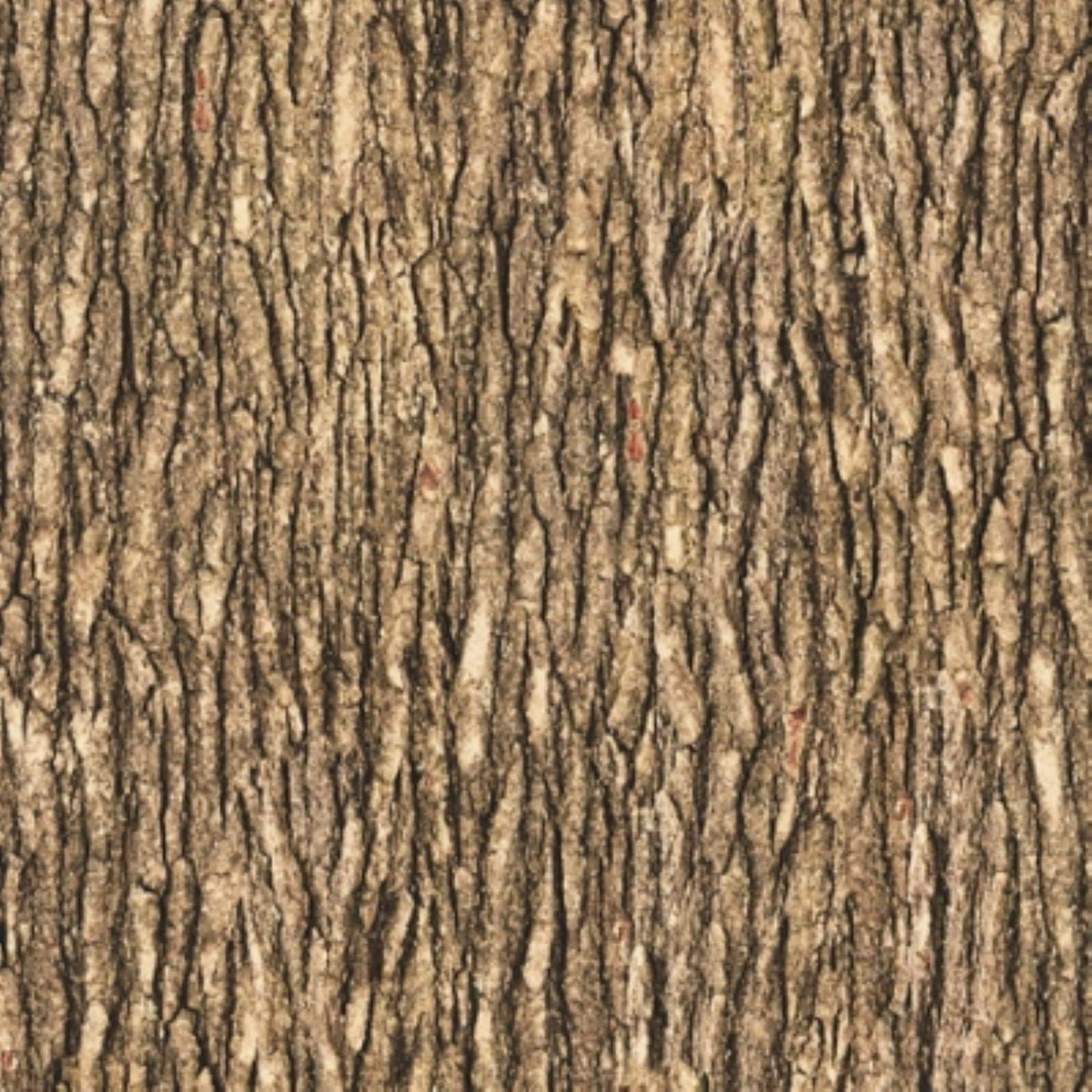 Open Air Bark Medium Brown Quilting Treasures Cotton Fabric