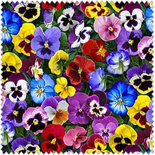 Lovely Pansies Flowers Multi Elizabeth's Studio Cotton Fabric