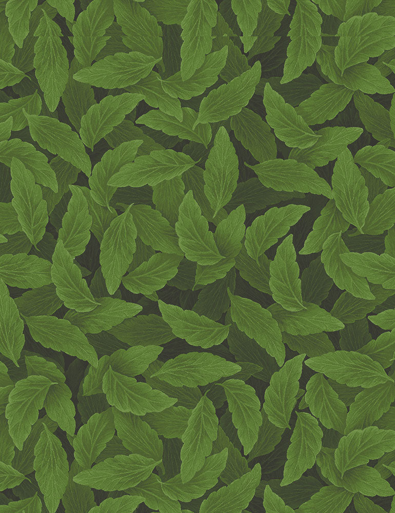 Pansy Packed Green Leaves Nature Timeless Treasures Cotton Fabric