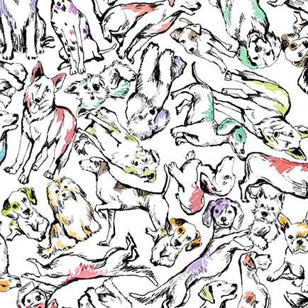 Paws in the Rain Lounging Dogs White Michael Miller Cotton Fabric MM-DCX12403-WHIT-D