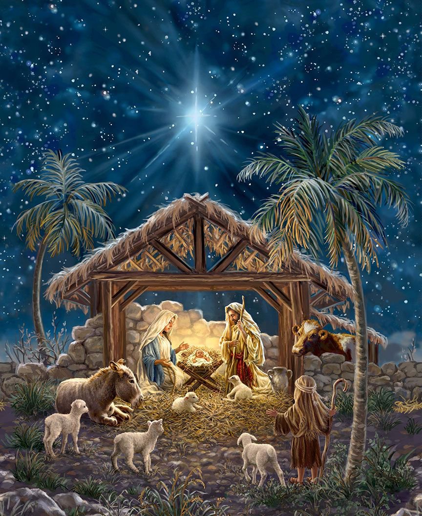 Peace and Harmony Nativity Panel 36" Multi Dona Gelsinger Timeless Treasures Cotton Fabric TT-PANELDG-CD3898-MULTI