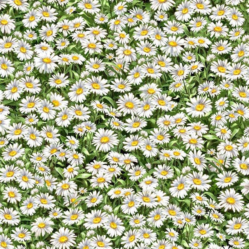 Peaceful Garden Daisies Packed Multi Timeless Treasures Cotton Fabric