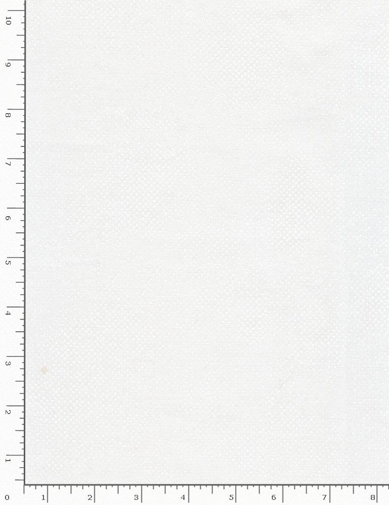 Pearl Surface Screen Texture Light Gray Timeless Treasures Cotton Fabric