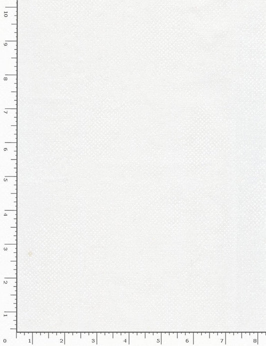 Pearl Surface Screen Texture Light Gray Timeless Treasures Cotton Fabric