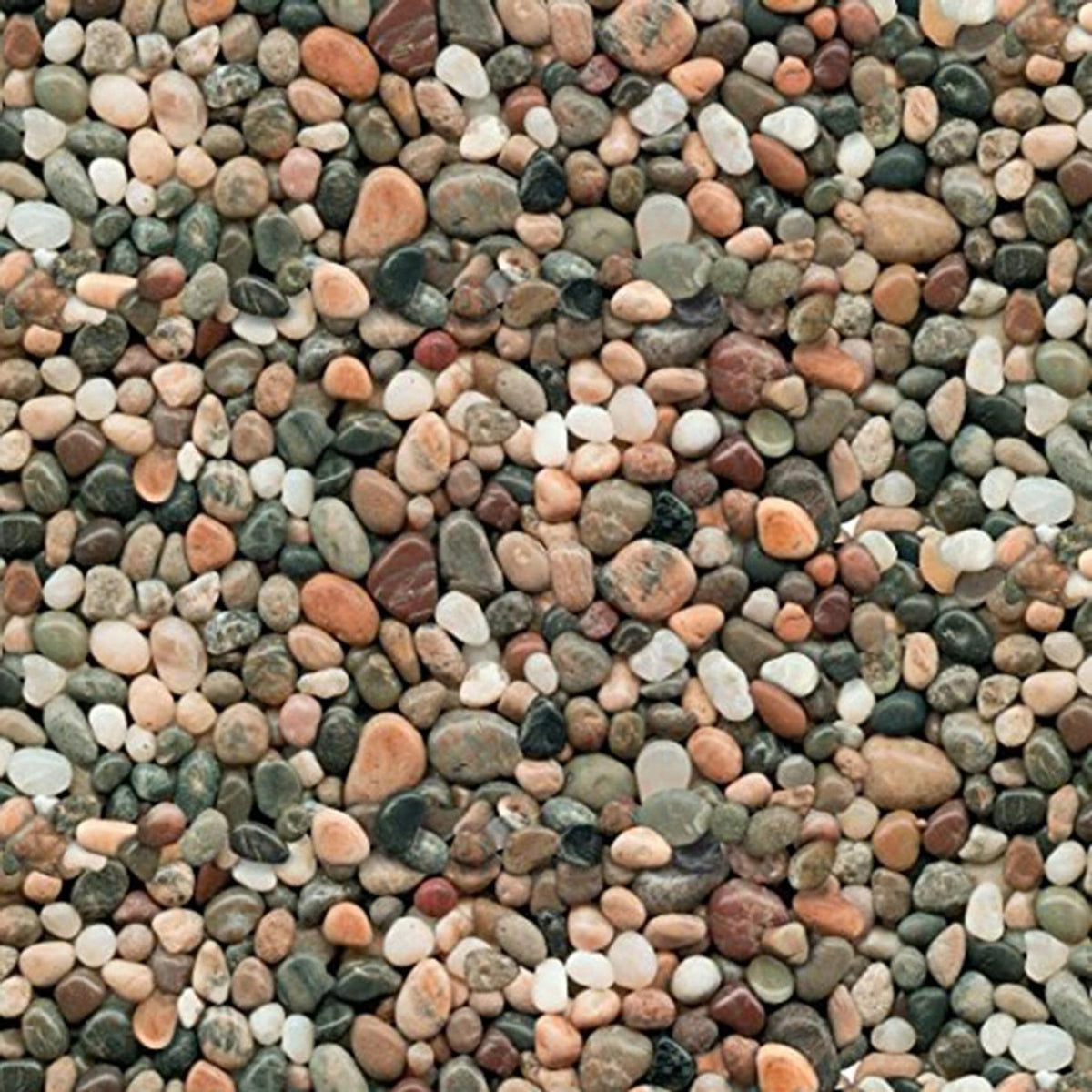 Photo For Rpebbles Pebbles Multi-colored River Rocks Landscape Medley Elizabeth's Studio ...