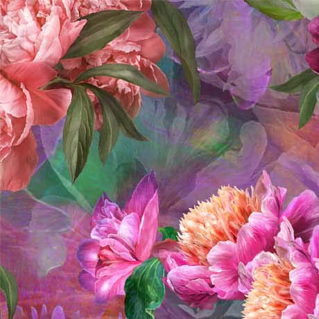 Peony Romance Large Peonies Purple Carol Cavalaris Quilting Treasures Cotton Fabric