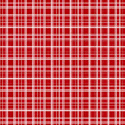 Raspberry Ripple Pencil Line Plaid Red Judy Gauthier Studio E Cotton Fabric