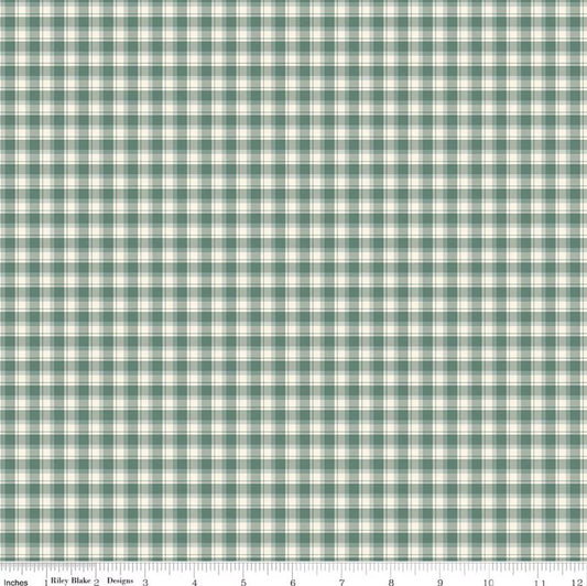 Renew Plaid Aqua Sandy Gervais Riley Blake Designs Cotton Fabric RB-C17284-AQUA