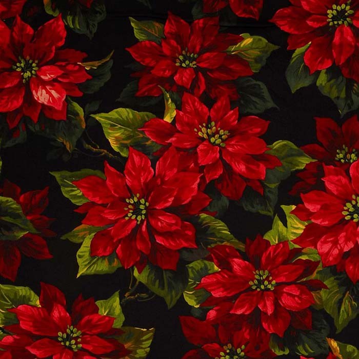 Scarlet Poinsettia 108" Wideback Black Michael Miller Cotton Fabric MM-WBX3059-BLAC-D