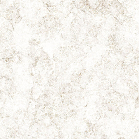 Sea Breeze Sand Dollars Texture Watercolor Cream Deborah Edwards Northcott Cotton Fabric
