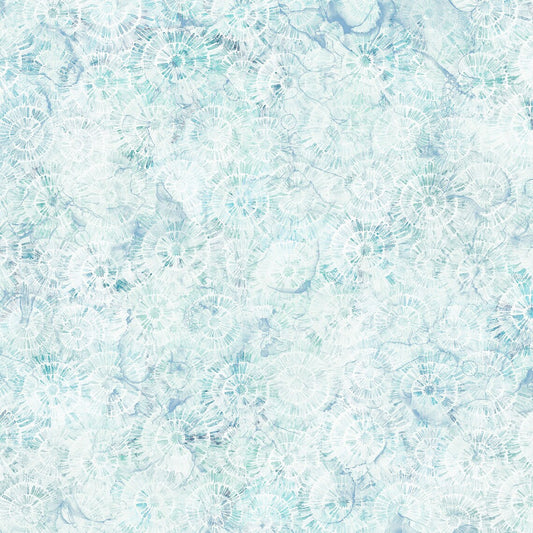 Sea Breeze Sand Dollars Texture Watercolor Pale Blue Deborah Edwards Northcott Cotton Fabric