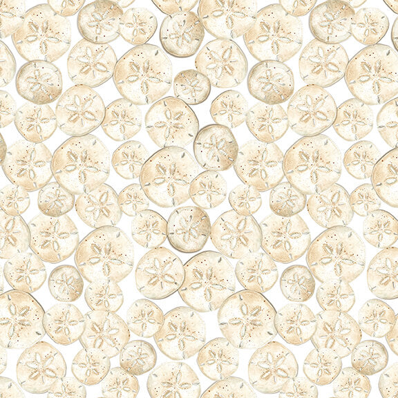 Seaside Serenity Sand Dollars Ivory AJ's Watercolor Studio Blank Quilting wide Cotton