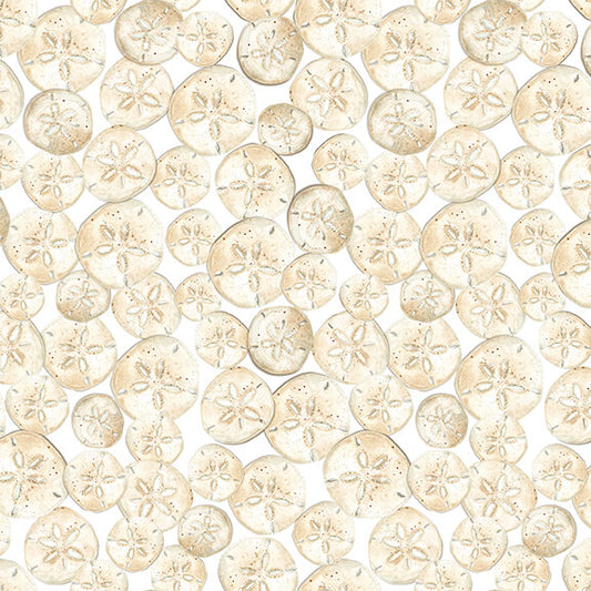 Seaside Serenity Sand Dollars Ivory AJ's Watercolor Studio Blank Quilting wide Cotton