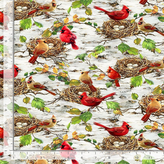 Secret Hollow Cardinals & Bird Nests Birch Dona Gelsinger Timeless Treasures Cotton Fabric TT-DONA-CD4269-BIRCH
