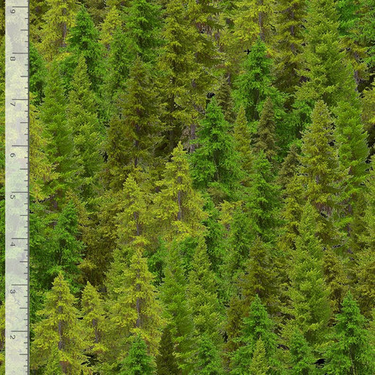 Secret Hollow Evergreen Forest Dona Gelsinger Timeless Treasures Cotton Fabric TT-NATURE-CD3831-FOREST