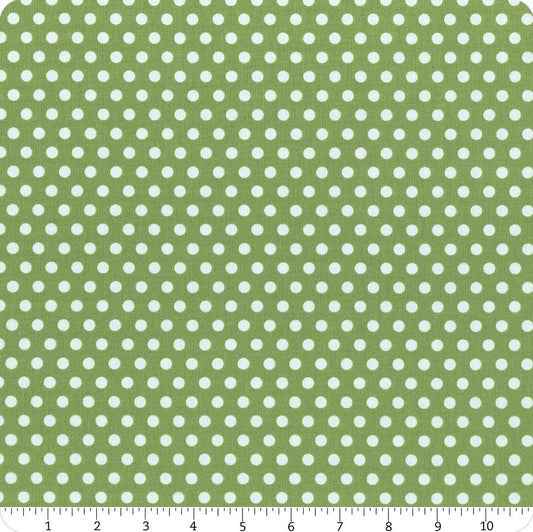 Serendipity 2 Dots Green Minki Kim Riley Blake Designs Cotton Fabric RB-C17307-GREEN