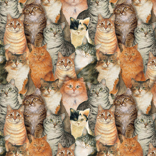 Sophisti-Cats Cat Collage Gray Lesley Anne Ivory Blank Quilting Cotton Fabric