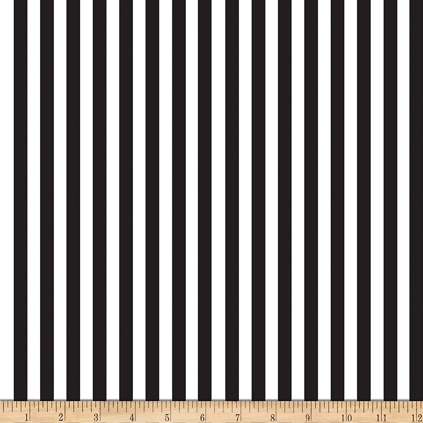 Stripe Black and White Quilter's Trek Pop Of Color Stripe Piano Timeless Treasures Cotton Fabric