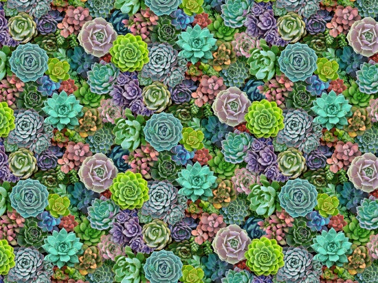 Succulent Charm Cactus Flower Landscape Medley Elizabeth's Studio Cotton Fabric