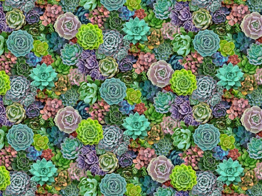 Succulent Charm Cactus Flower Landscape Medley Elizabeth's Studio Cotton Fabric