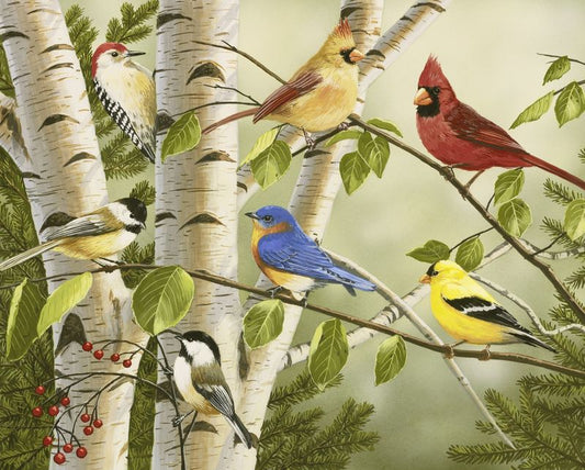 Summer Friends Bird Panel 36" David Textiles Cotton Fabric DT-AL-4208-0C-1