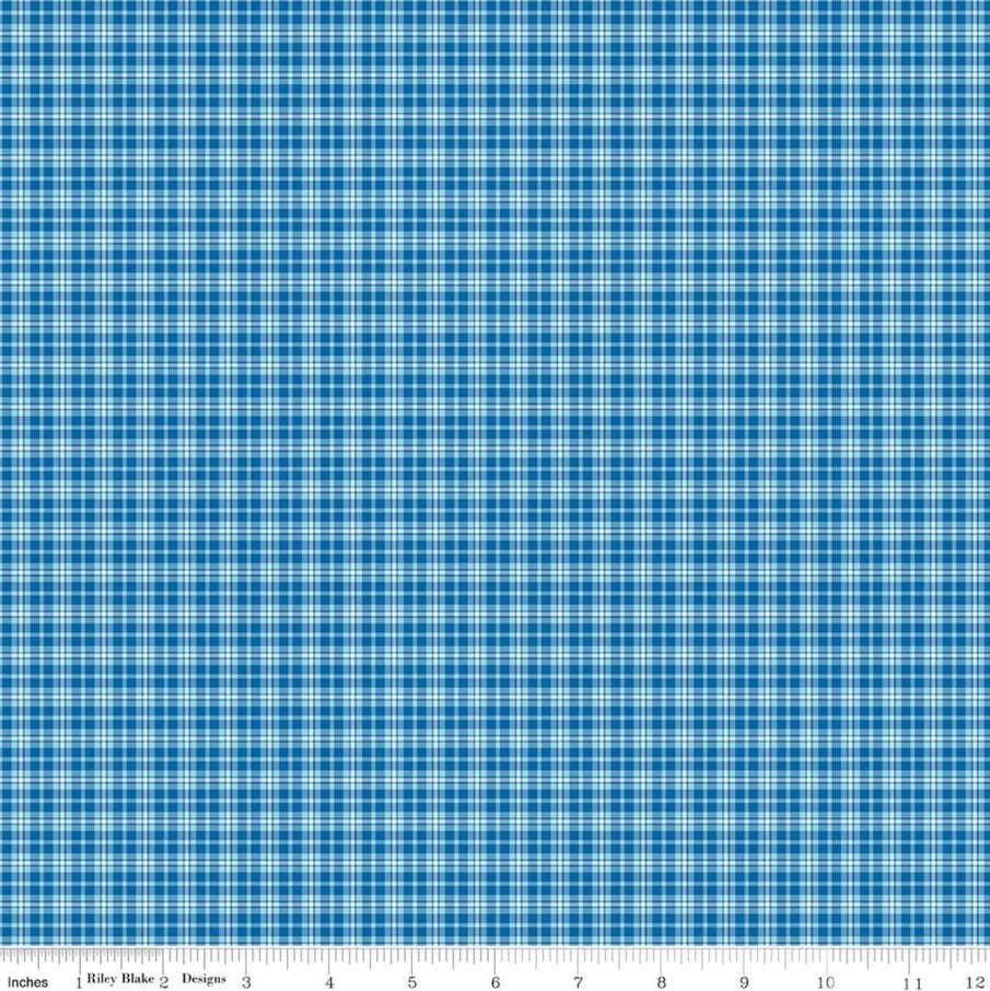 Summer's Town Plaid Blue Sandy Gervais Riley Blake Designs Cotton Fabric RB-C17536-BLUE