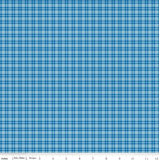 Summer's Town Plaid Blue Sandy Gervais Riley Blake Designs Cotton Fabric RB-C17536-BLUE