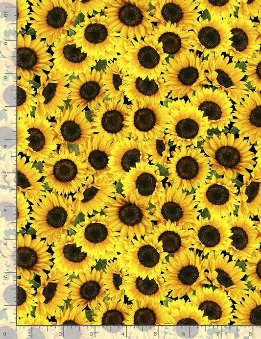 Sunflower Sunset Packed Sunflowers Timeless Treasures Cotton Fabric
