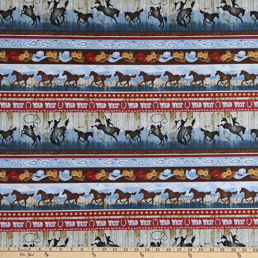 Sunset Rodeo Novelty Stripe Henry Glass Cotton Fabric