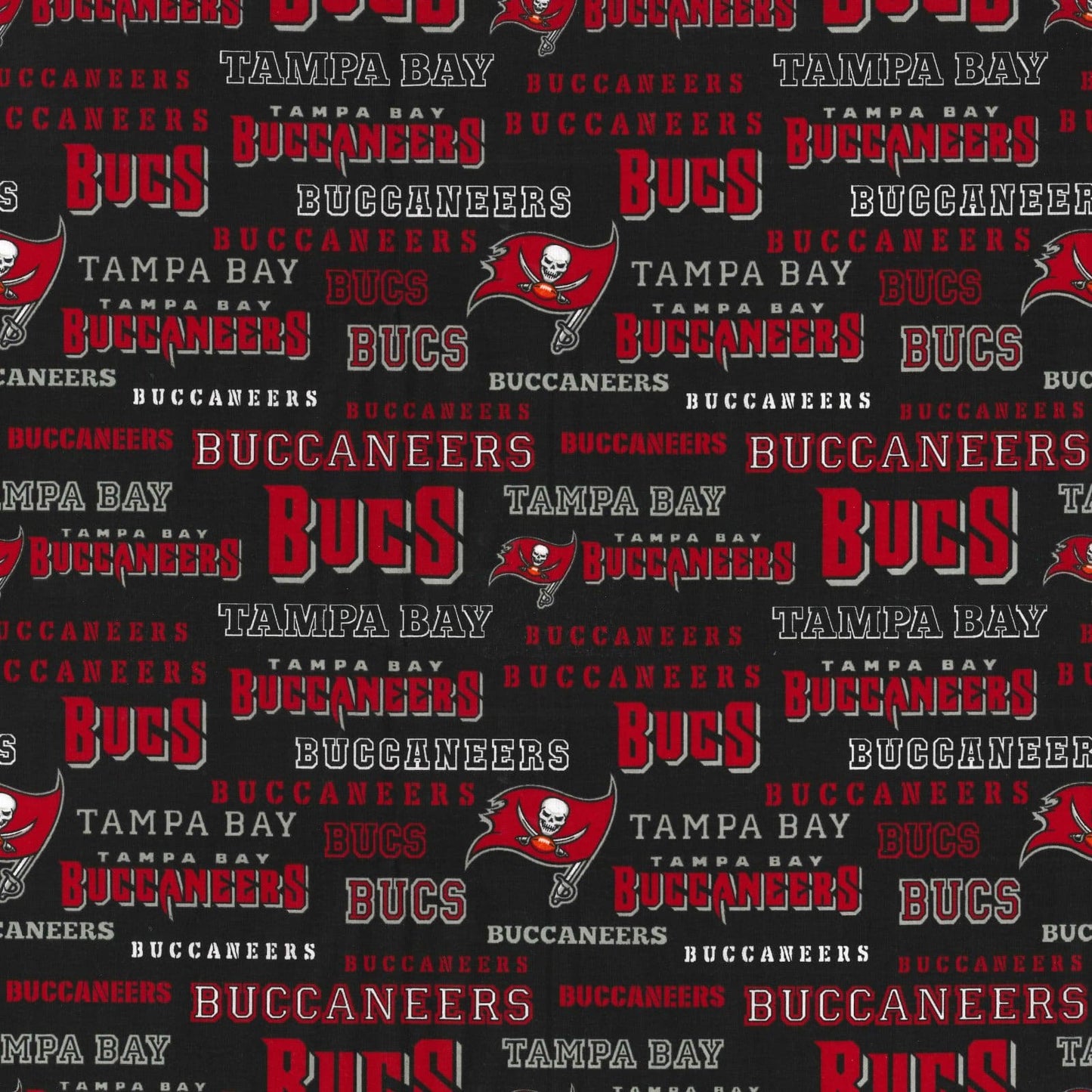 Tampa Bay Buccaneers NFL Football New Logo and Name design