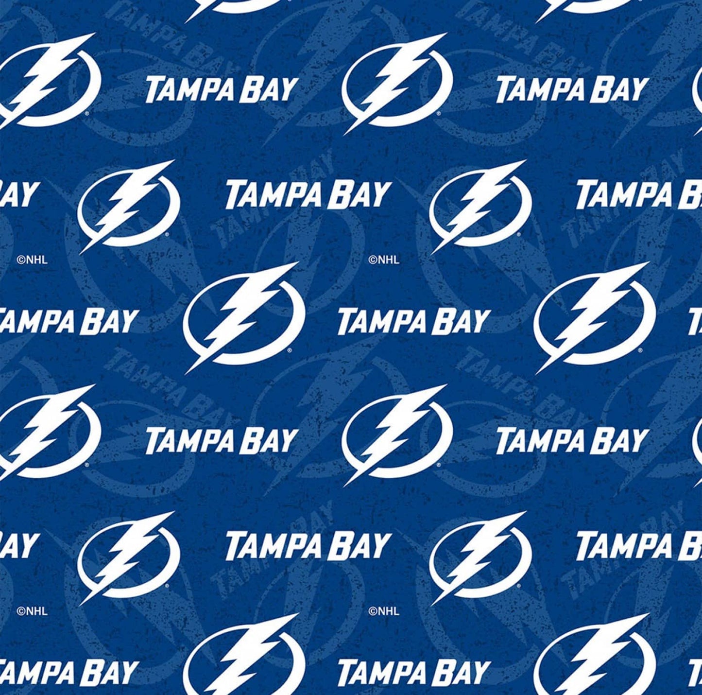 Tampa Bay Lightning NHL Hockey Tone on Tone design Cotton Fabric