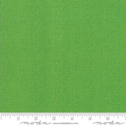 Thatched Spring Green Robin Pickens Moda Cotton Fabric