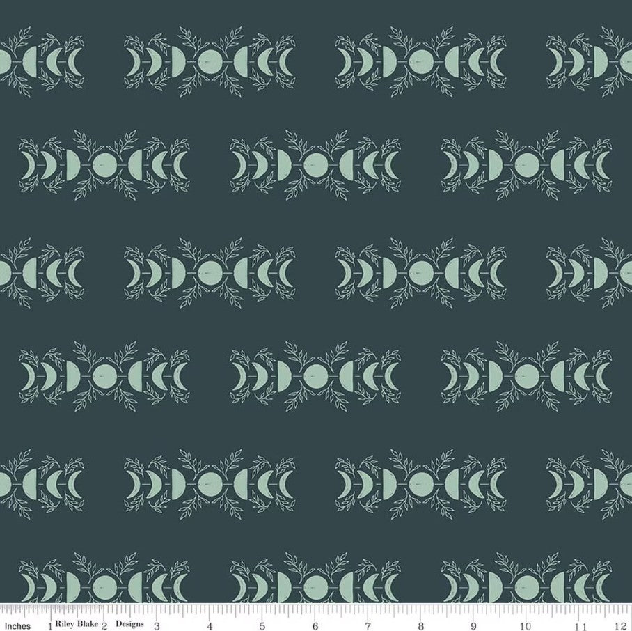 The Apothecary Celestial Teal Amber Elliot Riley Blake Designs Cotton Fabric RB-C17552-TEAL
