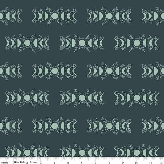 The Apothecary Celestial Teal Amber Elliot Riley Blake Designs Cotton Fabric RB-C17552-TEAL