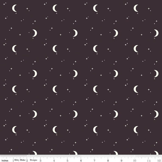 The Apothecary Night Sky Midnight Amber Elliot Riley Blake Designs Cotton Fabric RB-C17555-MIDNIGHT