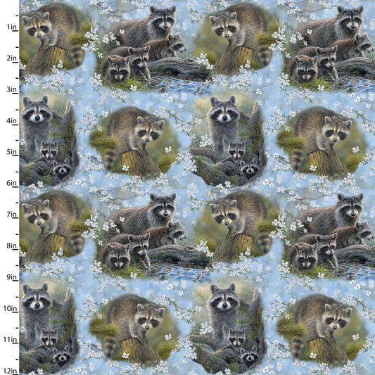 Through the Forest Light Racoon Portraits Multi Abraham Hunter 3 Wishes Cotton Fabric